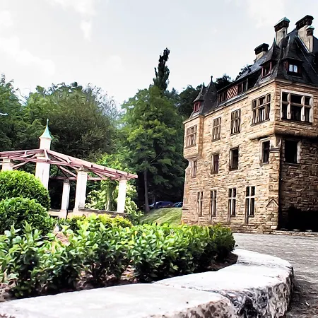 Schloss Wolfsbrunnen מלון Schwebda