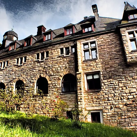 Schloss Wolfsbrunnen מלון