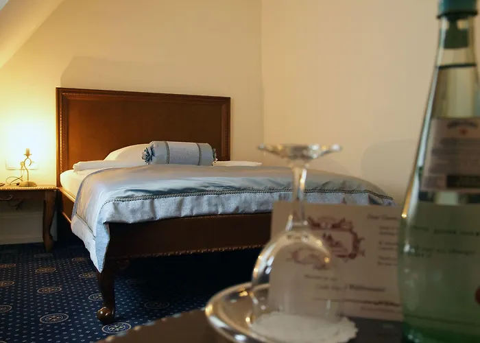 Отель Schloss Wolfsbrunnen 4*